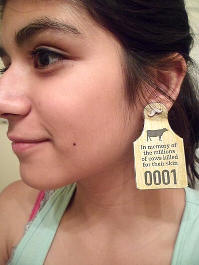 Honor Their Memory With New Ear Tags Peta Honor Their Memory With New Ear Tags Peta