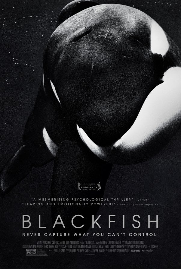 blackfish movie poster