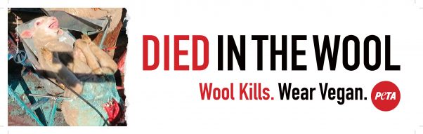 taxi top ads - died in the wool