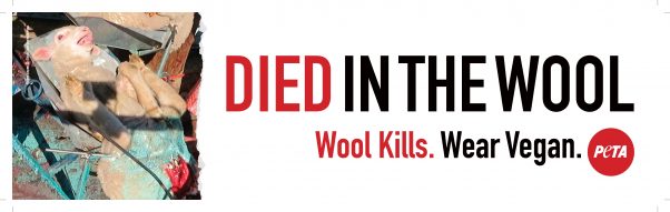taxi top ads - died in the wool