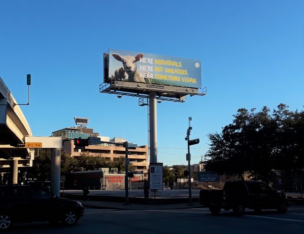 houston billboard wear something vegan peta
