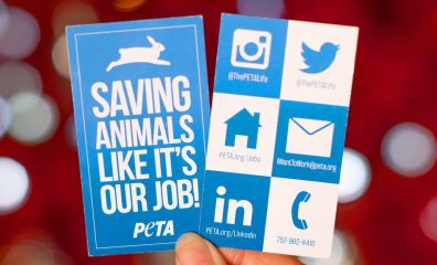Help a Friend and Make Money: PETA Pays for Successful Candidate Referrals!