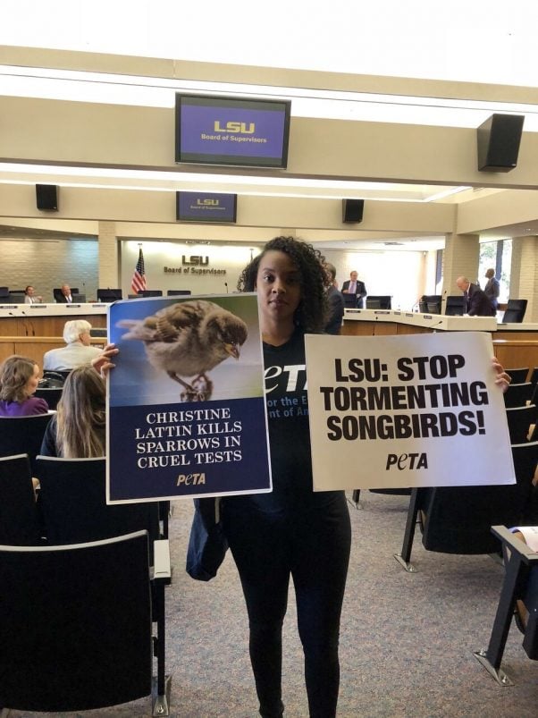 Christine Lattin experiements protested at LSU