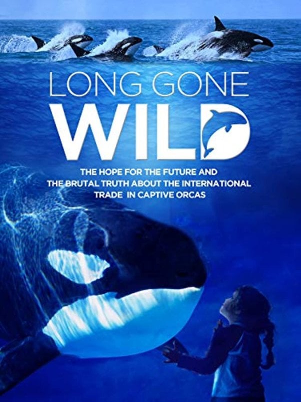 long gone wild movie poster