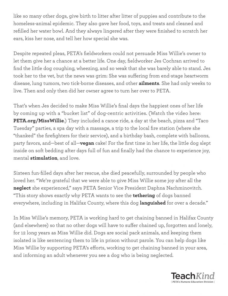 TeachKind Rescue Stories: Miss Willie’s Bucket List | PETA
