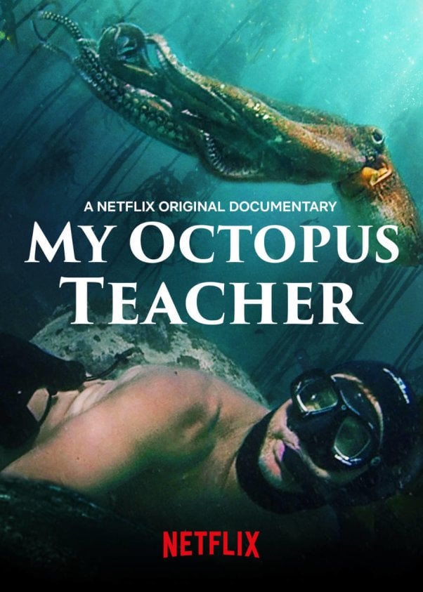 my octopus teacher movie poster