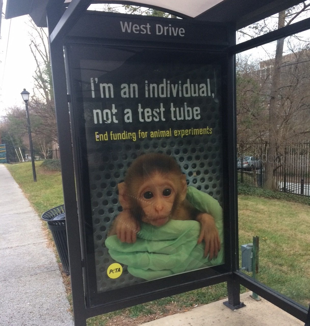 National Institutes of Health Bus Shelter Ad