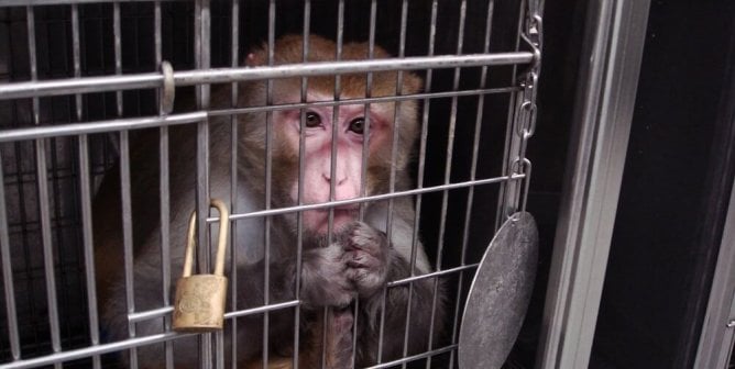 Oregon National Primate Research Center (ONPRC)