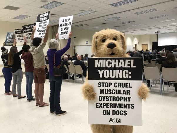 PETA supporters hold signs protesting TAMU dog lab at Board of Regents meeting