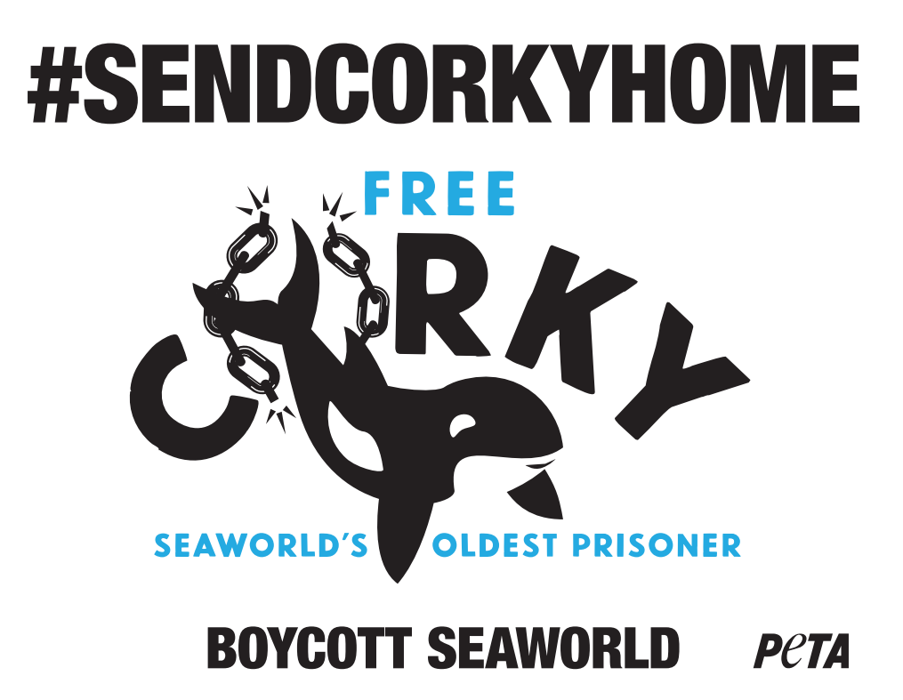 Send Corky Home Sign 1 In Wake of Lolita’s Death, Dolphin Defenders Descend on SeaWorld to Demand Corky’s Freedom