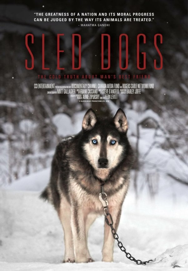 sled dogs movie poster