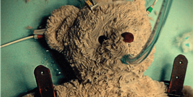 Award-Winning ‘A Teddy Bear Tackles the Trauma of Animal Experimentation’