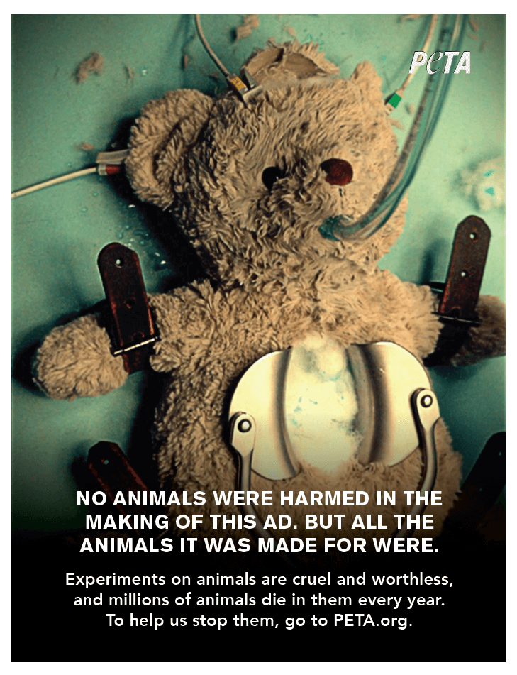 Award-Winning 'A Teddy Bear Tackles the Trauma of Animal Experimentation' |  PETA