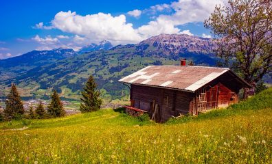 PETA’s Guide to Being Vegan in a Small Town