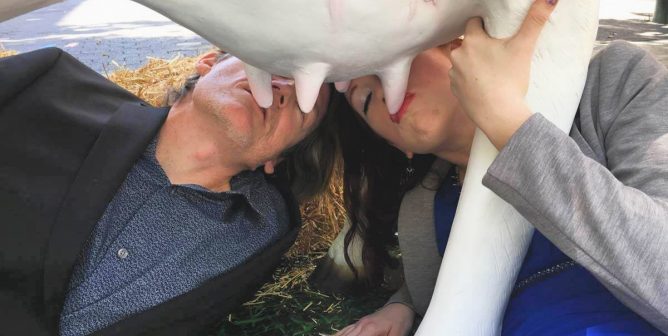 dairy industry conspiracy