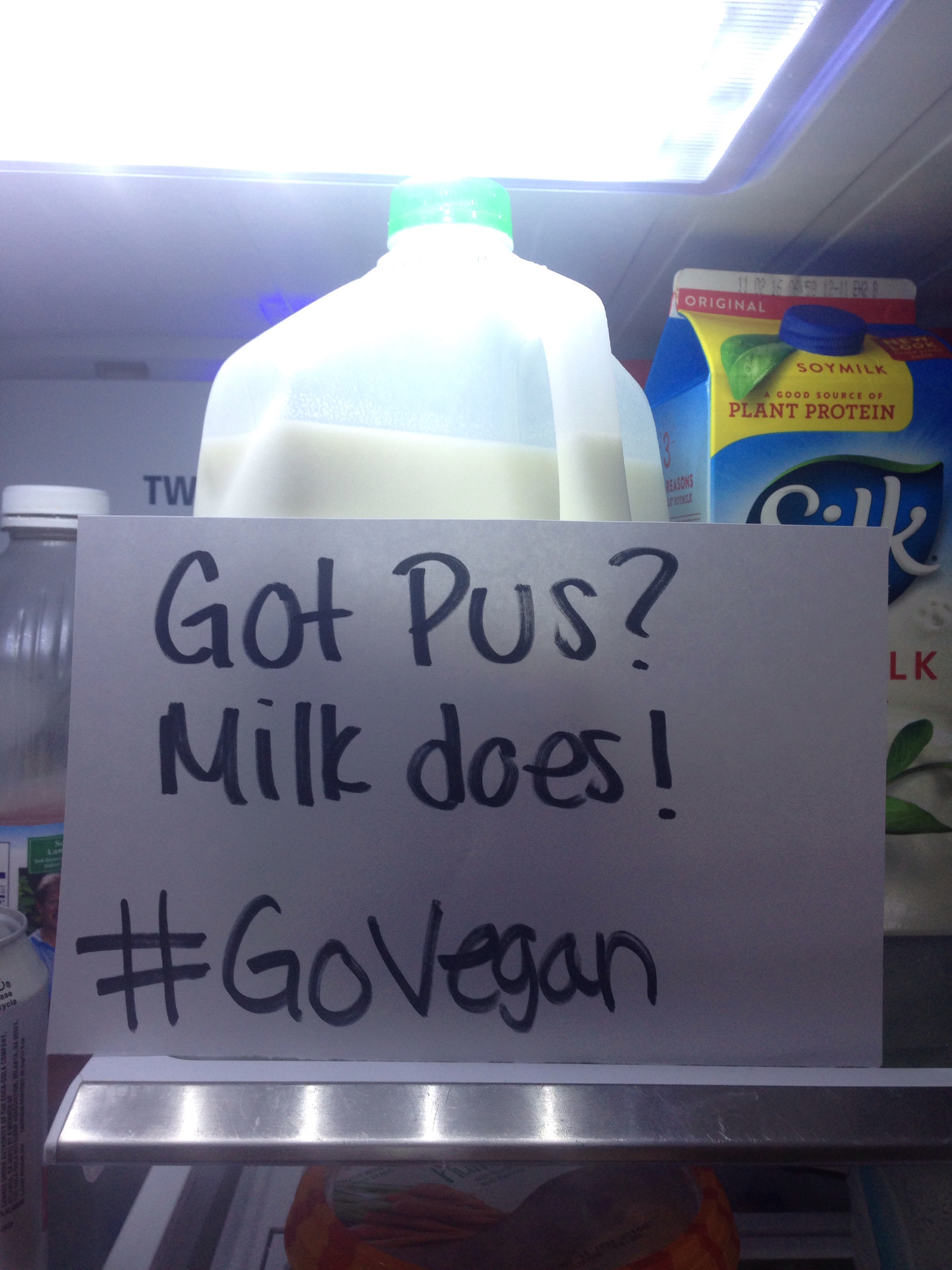 There's Pus in the Fridge! PETA