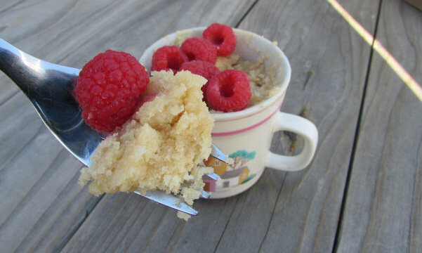 ‘Fruitcake’ in a Mug