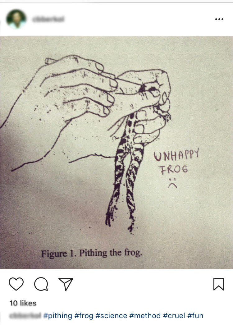 pithing, live dissection 