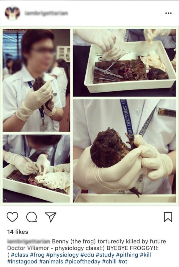 pithing, live dissection