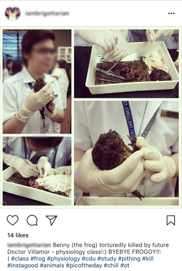 pithing, live dissection