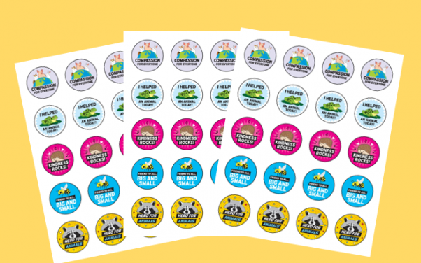 TeachKind Reward Stickers