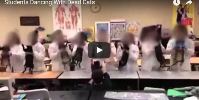The Most Disturbing Dissection Classes EVER