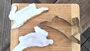 Sugar Cookies