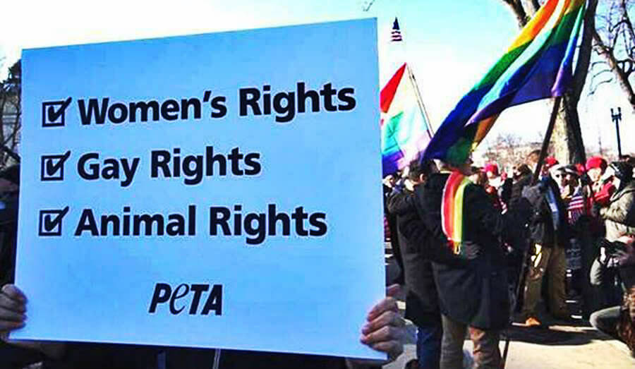 FREE Social Justice Stickers! PETA