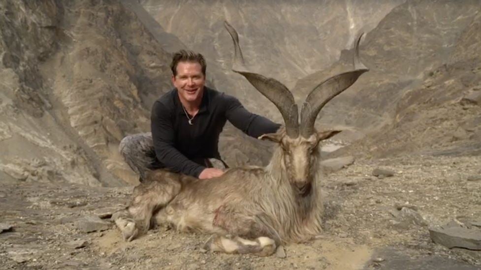 Rare Animal Shot by American Trophy Hunter | PETA Rare Animal Shot by American Trophy Hunter | PETA