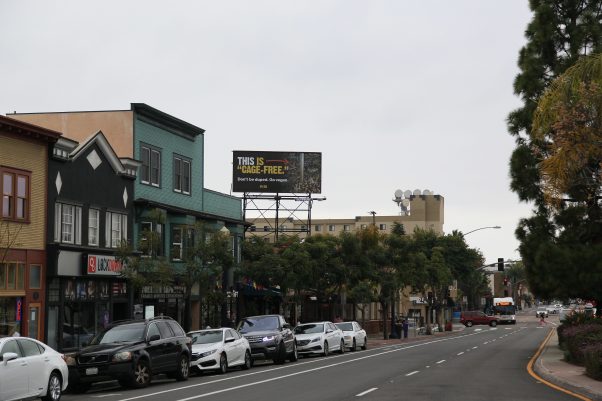 Cage Free Lies Billboard San Diego