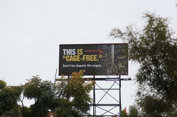 Cage Free Lies Billboard San Diego