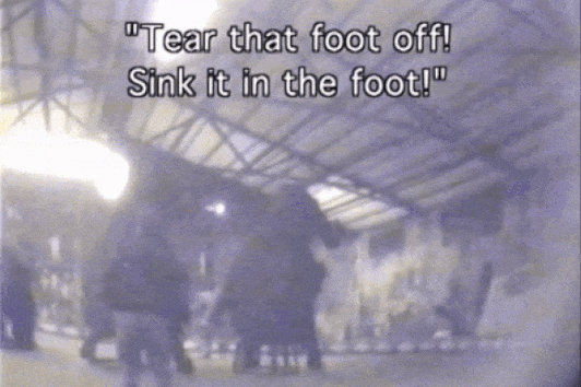 This GIF shows behind-the-scenes elephant training for Carson & Barnes Circus.