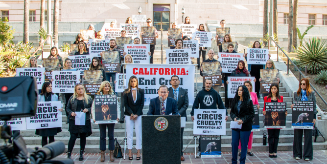 LA City Hall Circus Cruelty Prevention Act Activists
