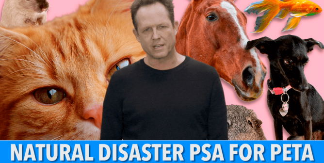 Dean Winters: Never, EVER Leave Your Animal Companions Behind