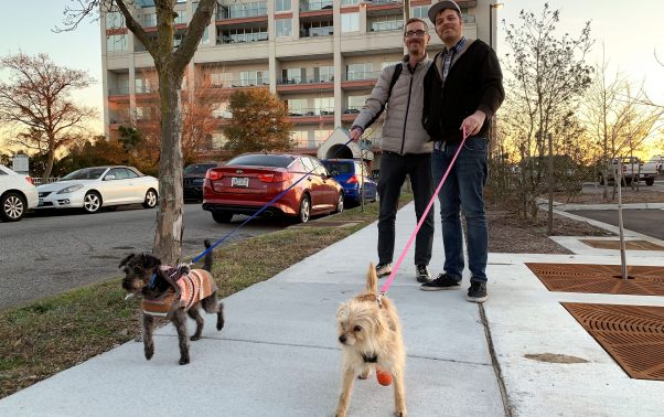 PETA-rescued dog Charley on walk with her new family