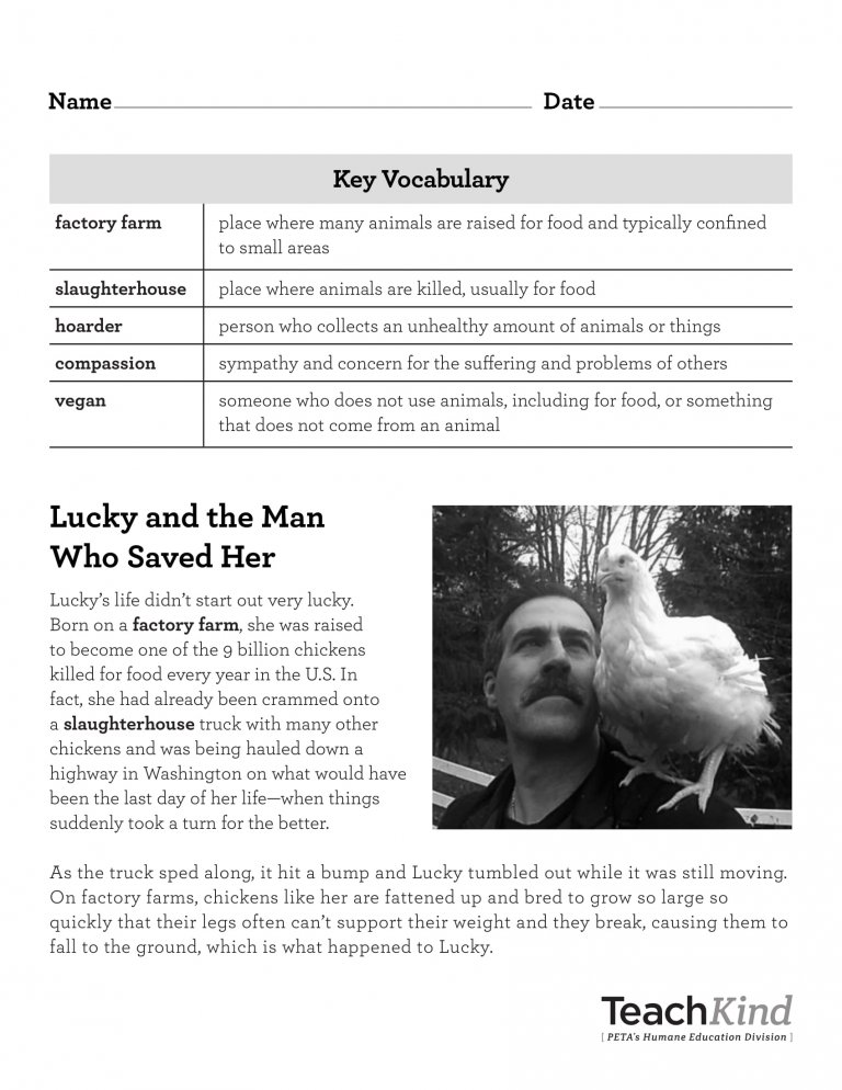 Rescue Stories Printables | PETA