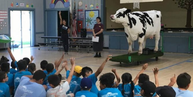 TeachKind Rescue Stories: Freddie on the Run (Grades 3–5)