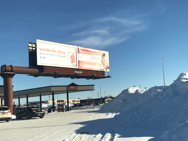 Let Me Go Petco Betta Fish Billboard Fargo North Dakota