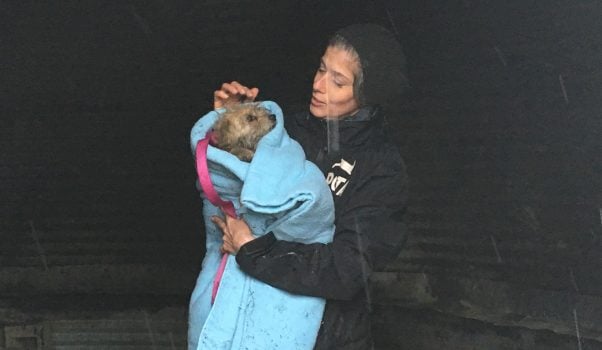 PETA staffer with rescued dog Charley wrapped in a blanket