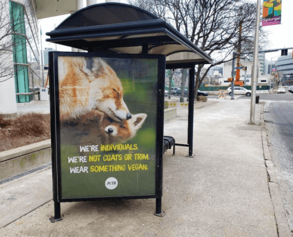 Wear Something Vegan Bus Ad in Stamford Connecticut