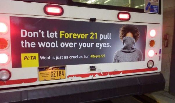 Wool Over Your Eyes Bus Ad Buffalo New York