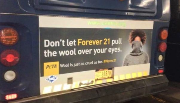 Wool Over Your Eyes Bus Ad in Syracuse New York