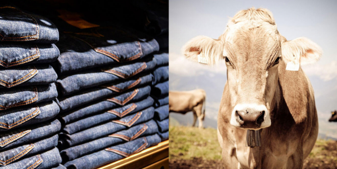 Jeans Should Be Vegan … so Why Aren’t Levi’s?