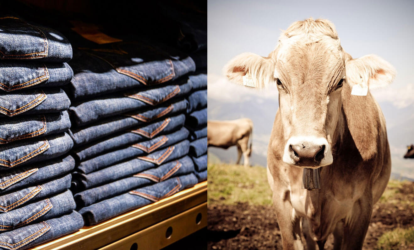 Are Jeans Vegan? The Sad Truth About Brands Like Levi's | PETA