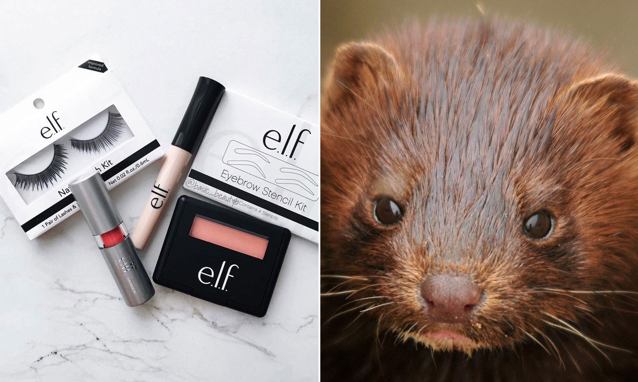 Is Cosmetics Cruelty-Free? Check the Facts | PETA