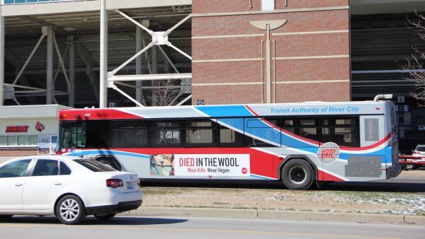 Wool Kills Wear Vegan Bus Ad in Louisville Kentucky