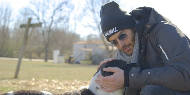 Nick Bateman Helps Dogs Living Outside