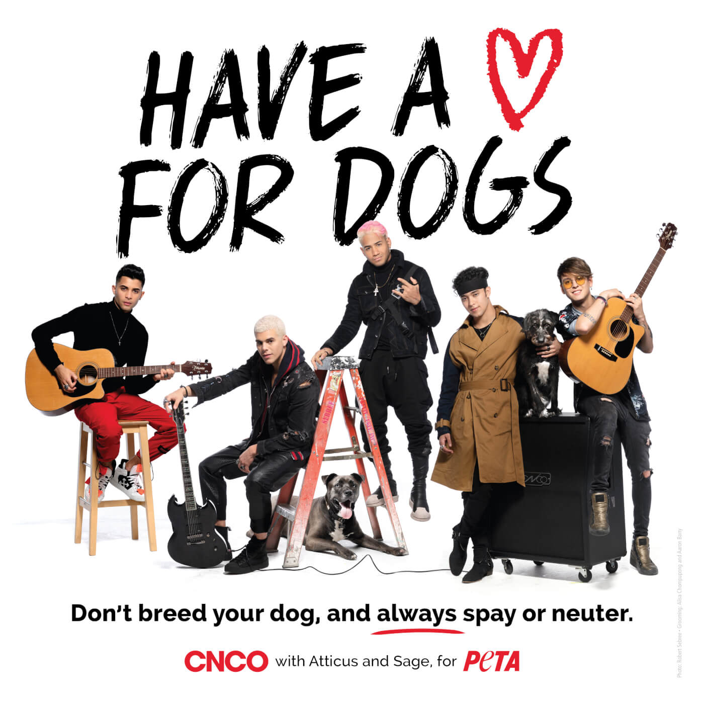 CNCO for PETA