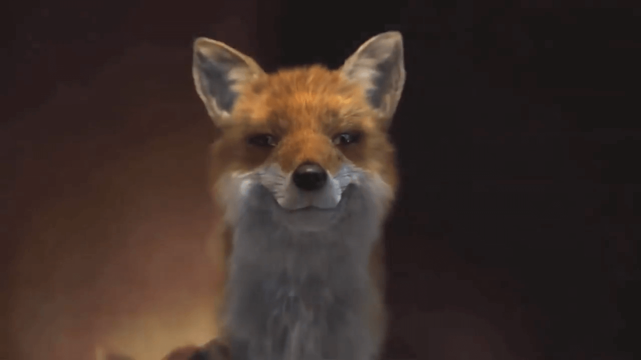Watch These Foxes Work The Runway In Human Skins Peta