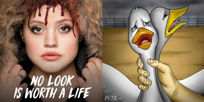Sarah Jeffery Draw My Life Canada Goose collage